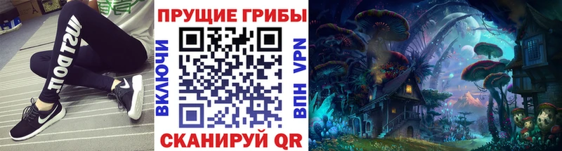 Купить закладки  Нарткала  Псилоцибиновые грибы Magic Shrooms 